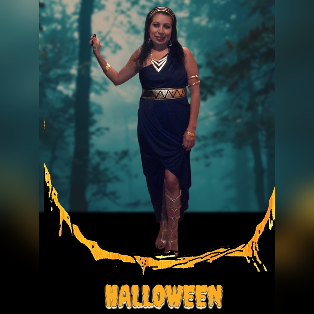 Queen Of The Nile Black and Gold Halloween Costume Dress Small